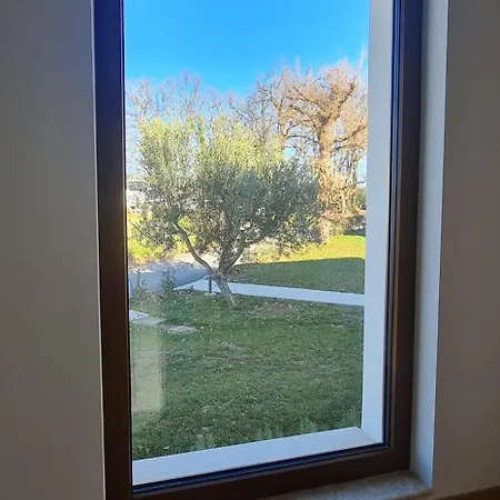 Nova *
